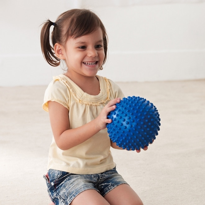 Weplay 觸覺球 - 15cm(1入)
